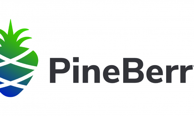 Mango Solar heißt jetzt PineBerry